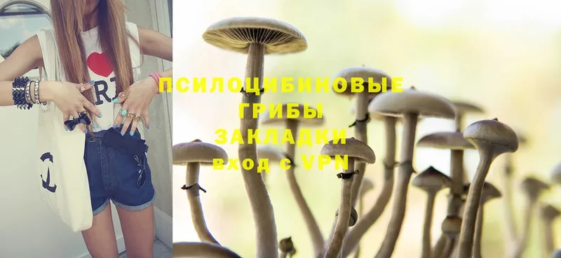 Псилоцибиновые грибы MAGIC MUSHROOMS  Киржач 